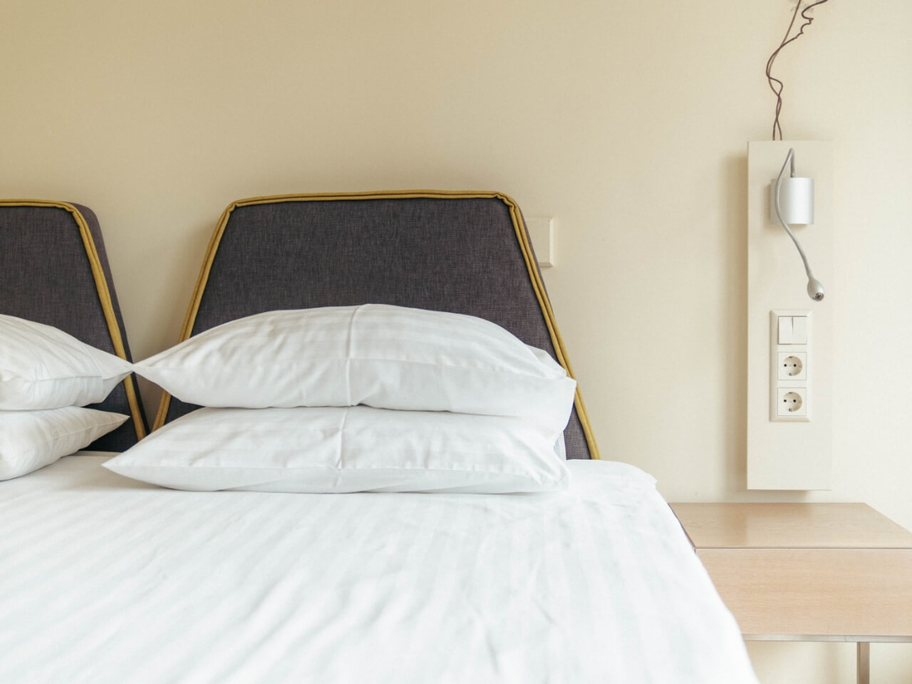 Liukso klasės apartamentai Palangoje